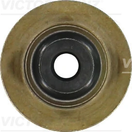 Seal Ring, valve stem